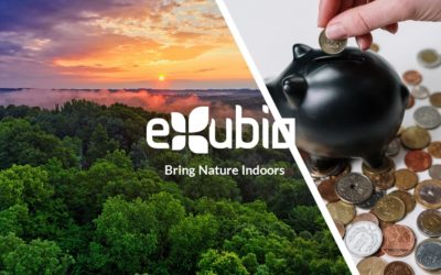 Biophilia: Save thousands of pounds and the planet.