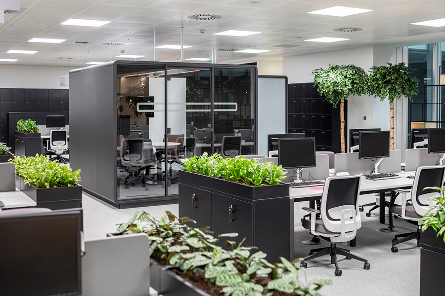 Buy Artificial Office Plants For Your Workspace