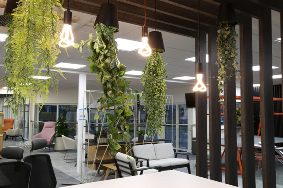 Artificial Office Plants