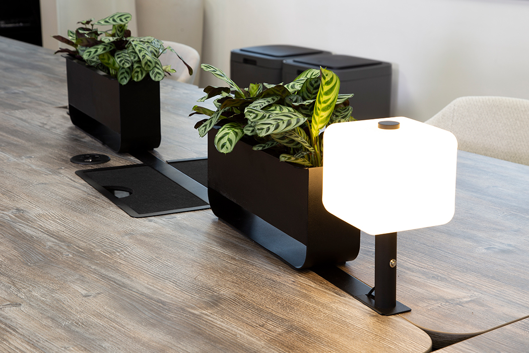 Artificial Office Plants Exubia