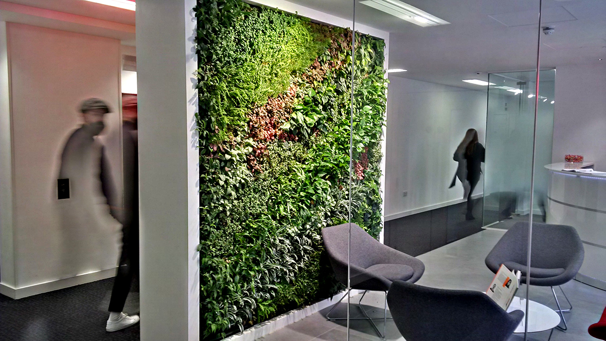 An example of a living wall at H&M