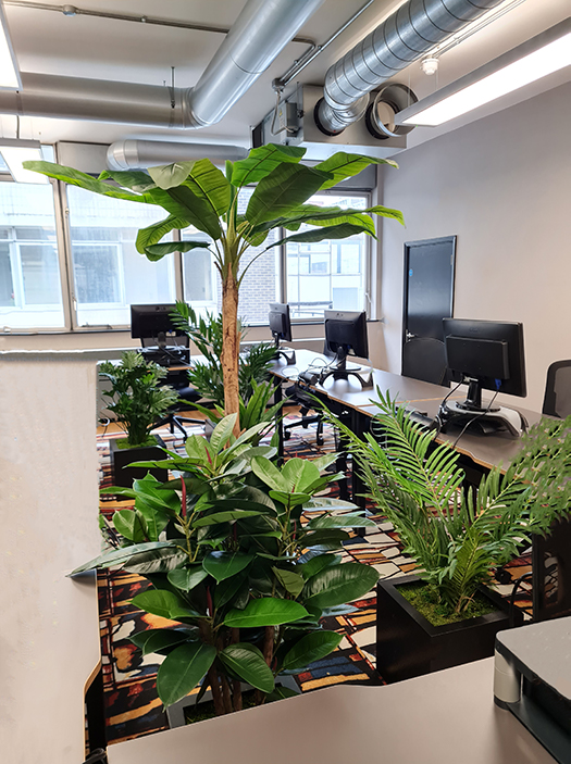 Artificial Office Plants Exubia