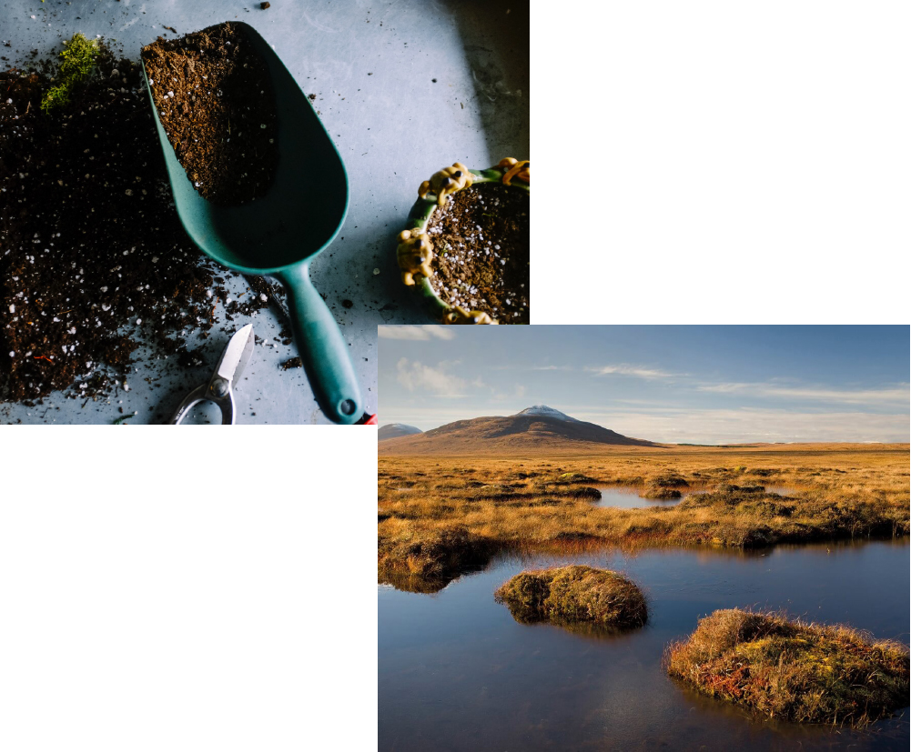 A picture of compost and a peat bog