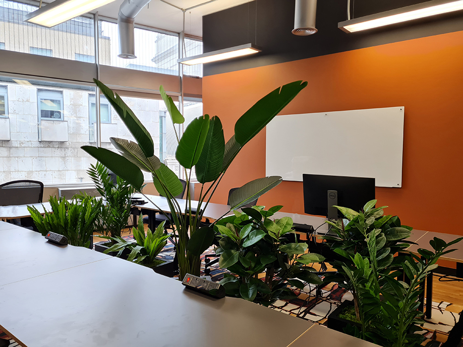 Artificial Office Plants
