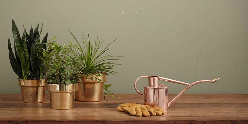 Pruning Kit