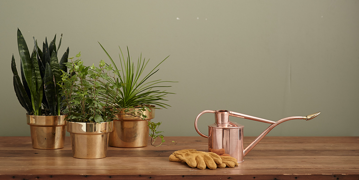 Pruning Kit