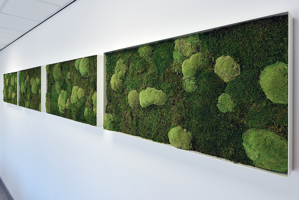 Office Living Walls & Office Green Walls