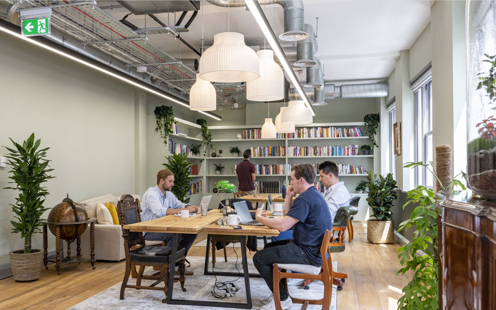 Working with Circadian Rhythms and Office Plants in Workspace Design
