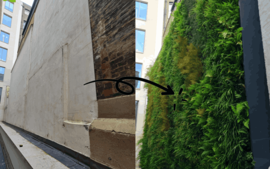 Living wall for office block contributing to BREEAM certification.