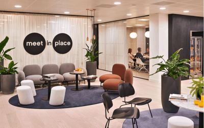 Principles Of Biophilic Design Explained