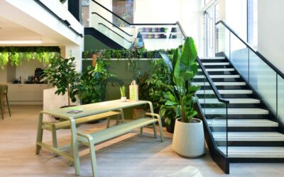 Plants & Personalities | What You’re Personality Says About The Spaces You Crave