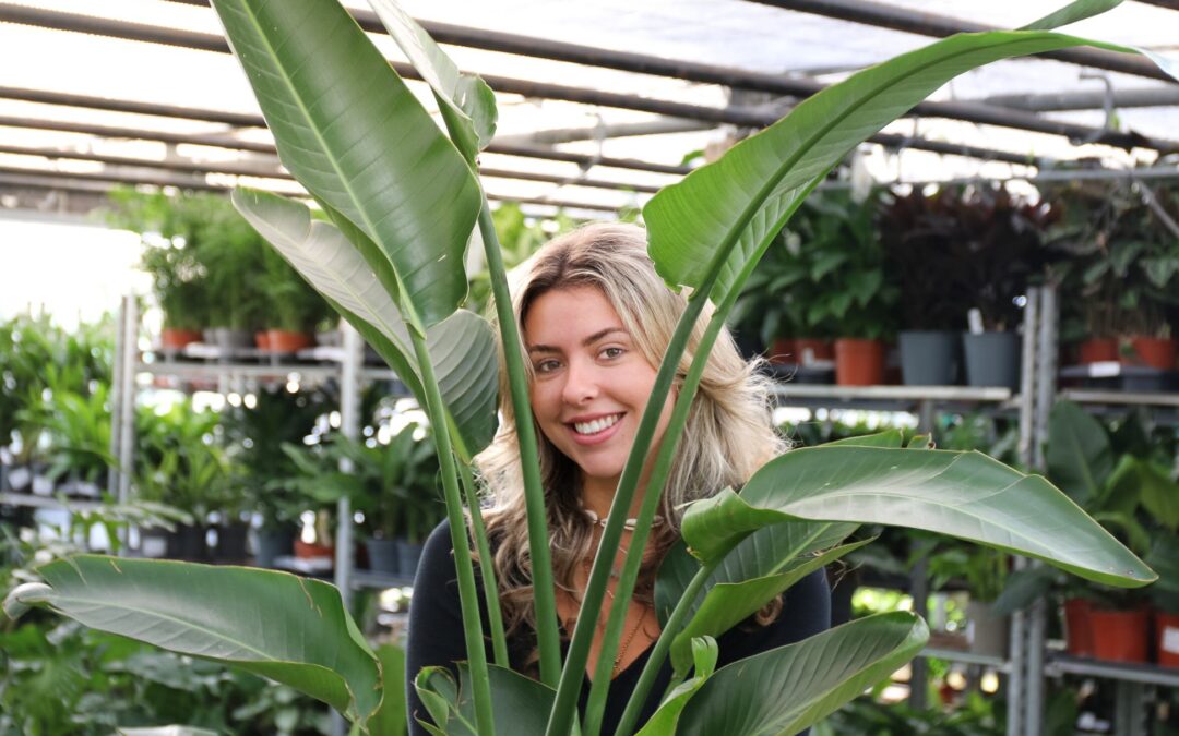 Do Plants Contribute to BREEAM?