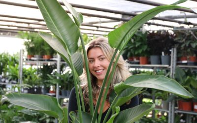 Do Plants Contribute to BREEAM?