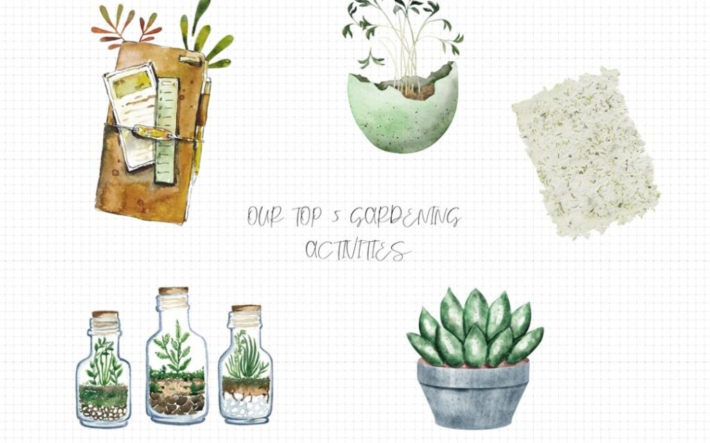 Top 5 Interactve Activities With Plants 1080 X 675