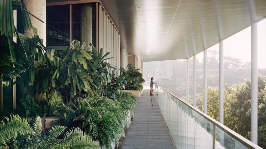 Nus School Design Environment Serie Multiply Architects University Education Architecture Singapore Dezeen 1704 Hero 852 X 479 1