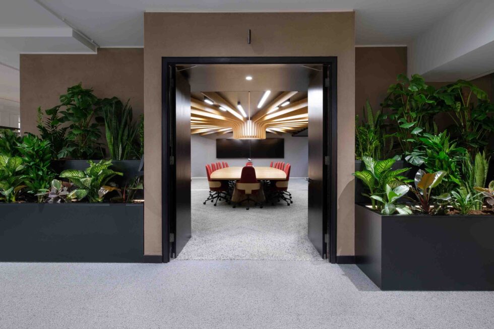 Plants For Meeting Rooms 980 X 653 (1)