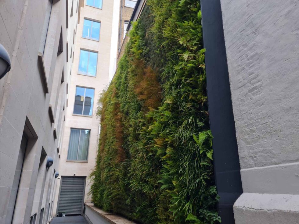 Green Walls 980 X 735
