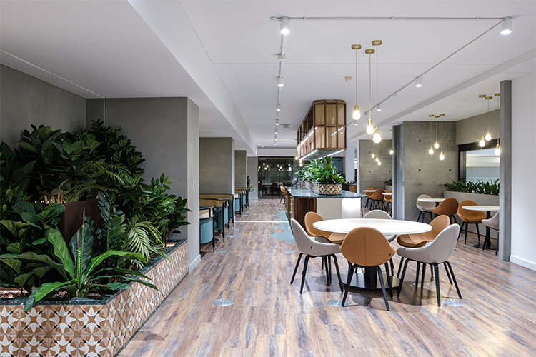 Behind The Scenes: Transforming a 250,000 sq. ft. Office Space in Angel with Biophilia