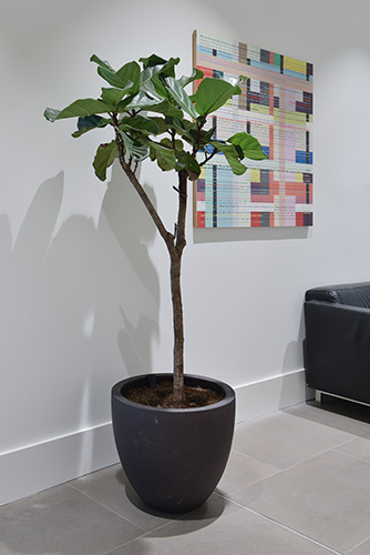 Business School, Oxford (1)