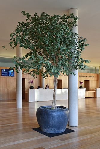 Business School, Oxford (10)