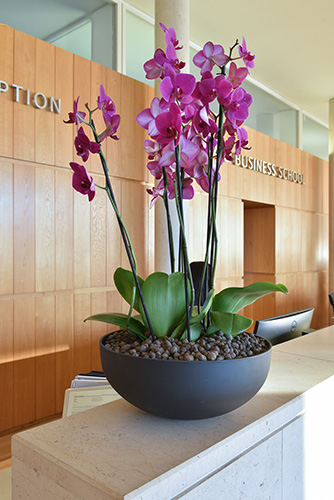 Business School, Oxford (12)