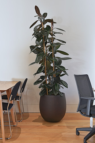 Business School, Oxford (15)