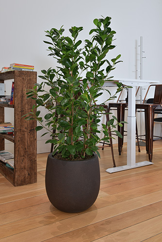 Business School, Oxford (16)