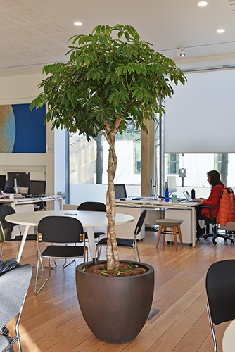 Business School, Oxford (17)