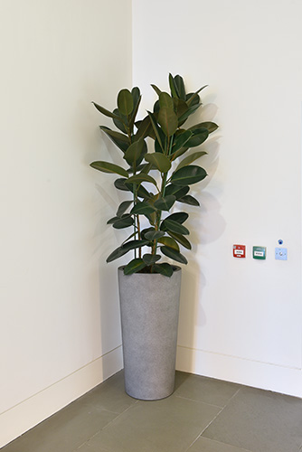 Business School, Oxford (19)