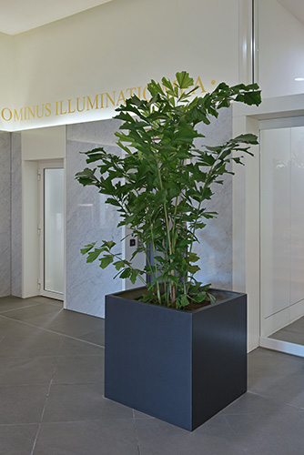 Business School, Oxford (20)