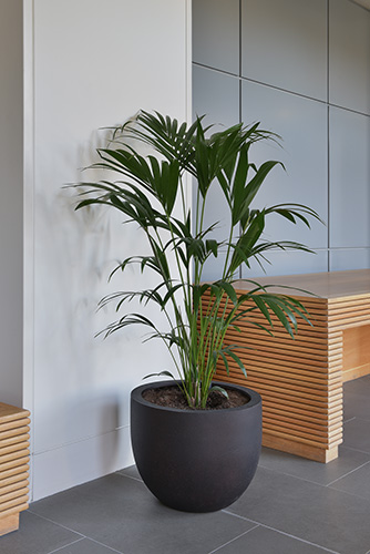 Business School, Oxford (23)