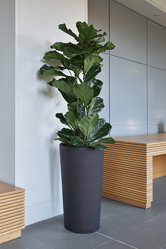 Business School, Oxford (24)