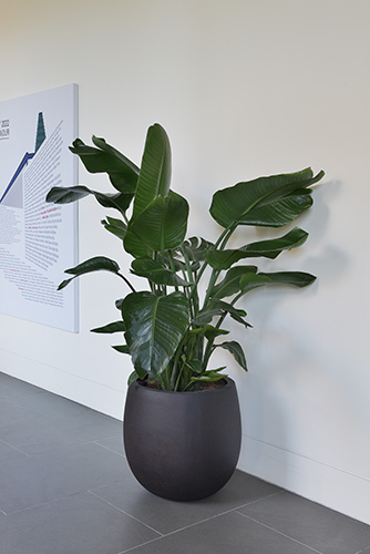 Business School, Oxford (25)