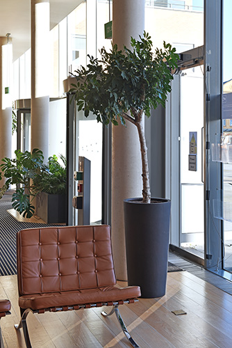 Business School, Oxford (7)