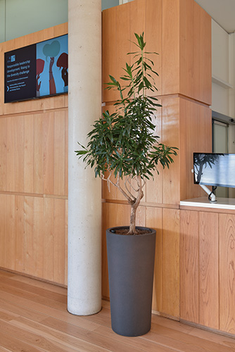 Business School, Oxford (8)