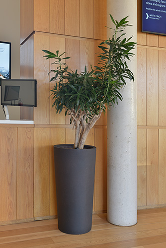 Business School, Oxford (9)