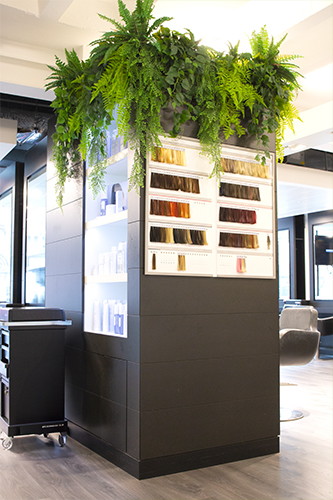 Cosmetic Salon, London (4)