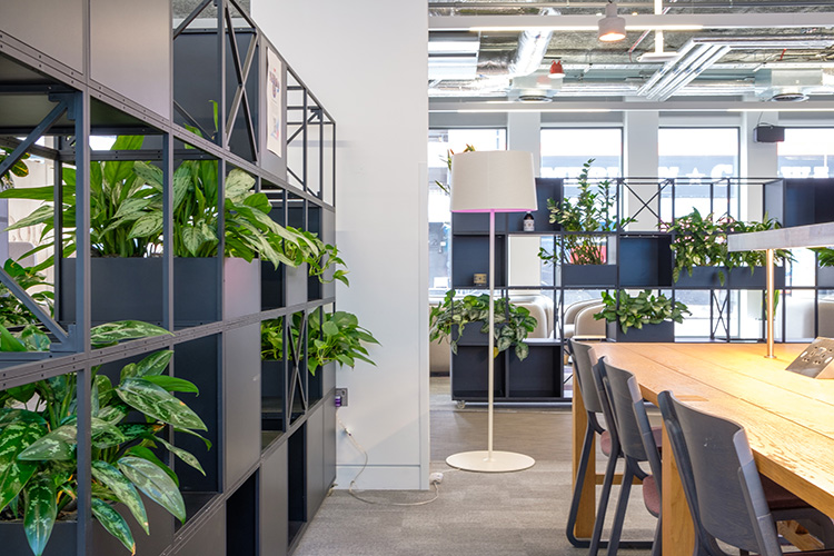 Digital Infastructure, Shoreditch (10)