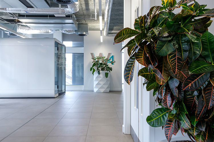 Digital Infastructure, Shoreditch (11)