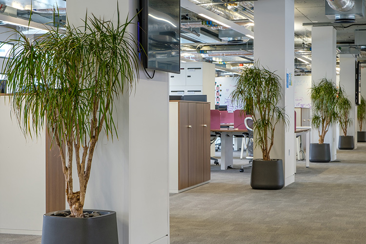 Digital Infastructure, Shoreditch (5)