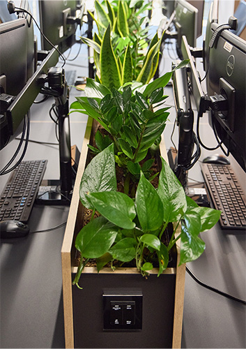 Engineering Consultancy, Piccadilly (1)