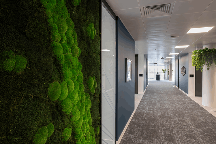 Finance Broker, Watford (13)