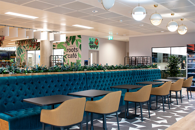 Higher Education, White City (1)