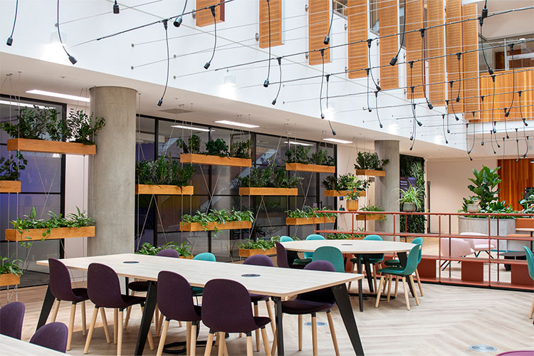 Higher Education, White City (3)