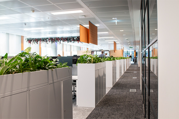 Higher Education, White City (4)