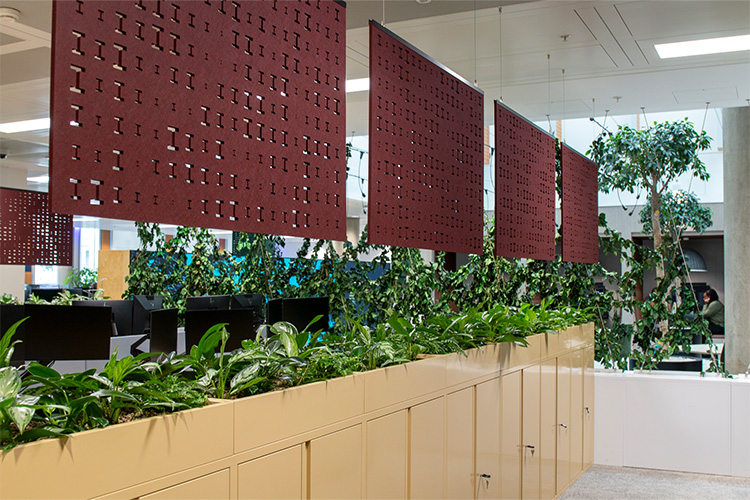 Higher Education, White City (6)