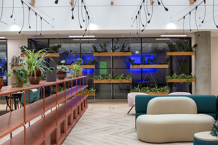 Higher Education, White City (9)