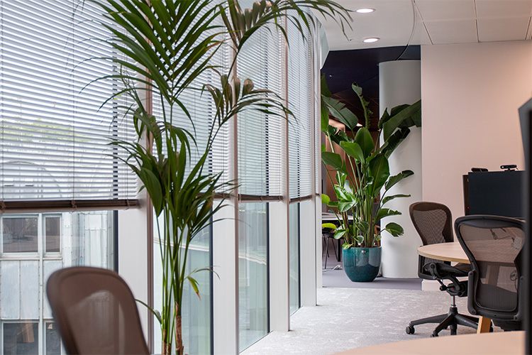 International Law Firm, The Barbican (12)