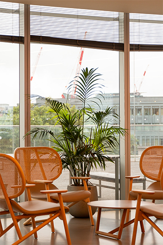 International Law Firm, The Barbican (14)