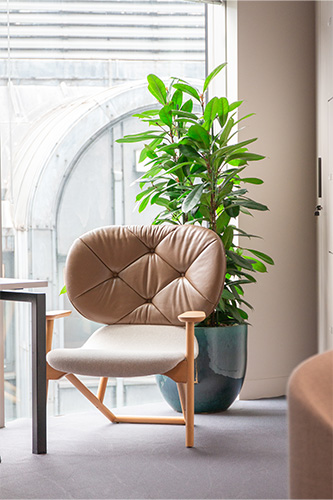 International Law Firm, The Barbican (19)